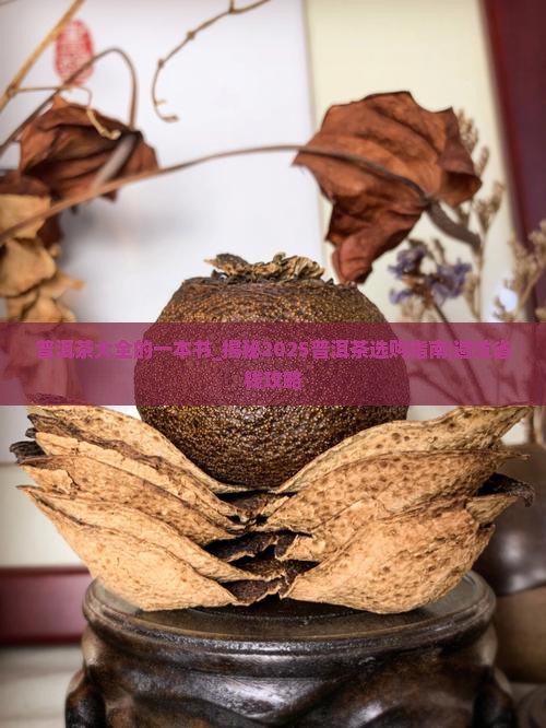 普洱茶大全的一本书