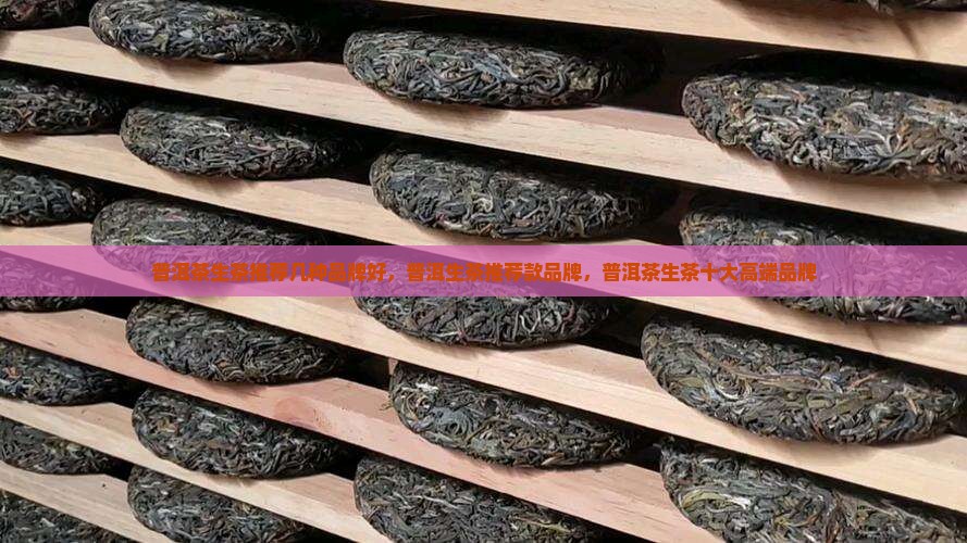 普洱茶生茶推荐几种品牌