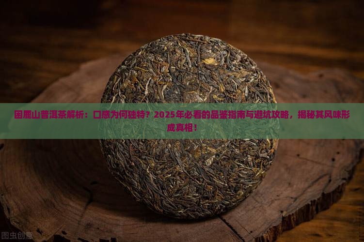 困鹿山普洱茶特点口感怎么形成