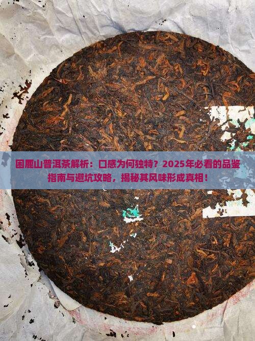困鹿山普洱茶特点口感怎么形成