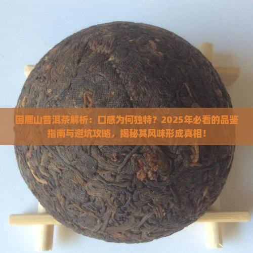 困鹿山普洱茶特点口感怎么形成