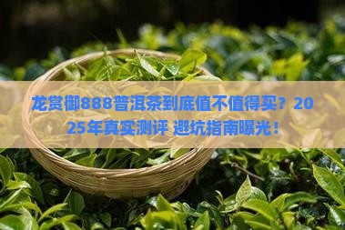 龙赏御888普洱茶价格