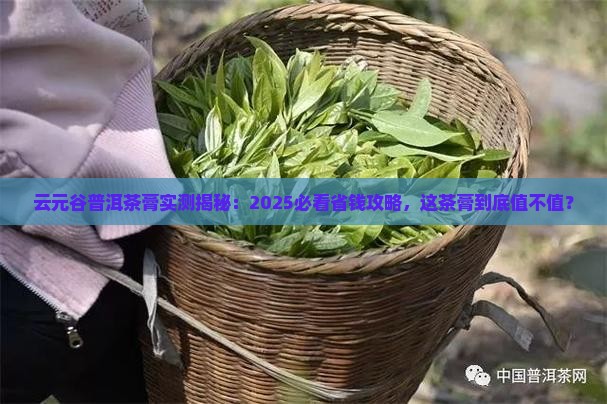 云元谷普洱茶膏评测