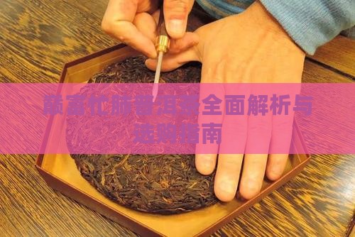 巅富忙肺普洱茶
