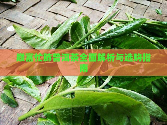 巅富忙肺普洱茶