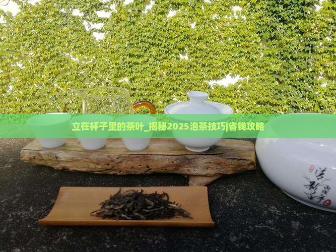 立在杯子里的茶叶