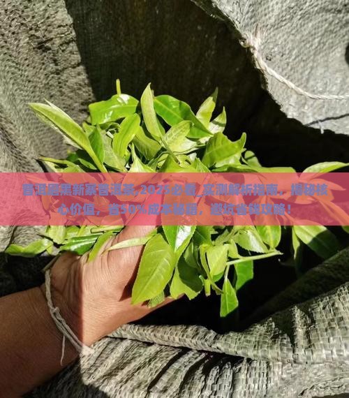 普洱磨黑新寨普洱茶