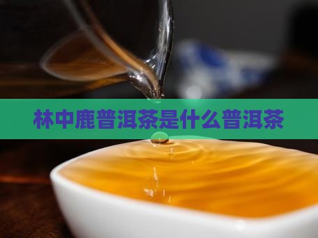林中鹿普洱茶怎么样