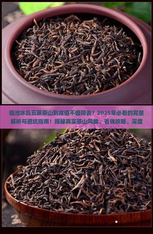 临沧冰岛五寨茶山 临沧冰岛五寨茶山