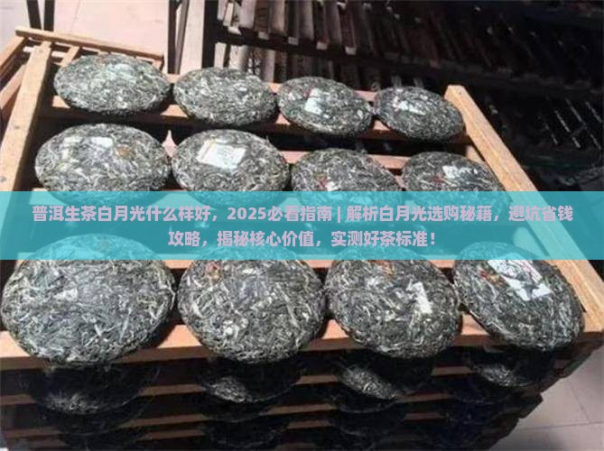 普洱生茶白月光什么样好
