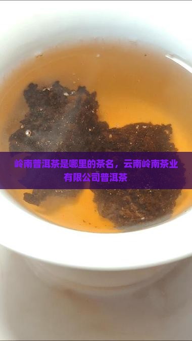 岭南普洱茶是哪里的茶名