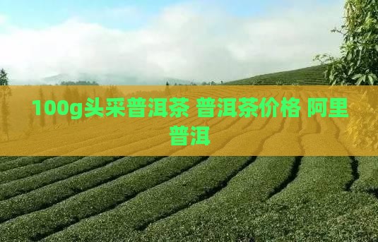 100g头采普洱茶