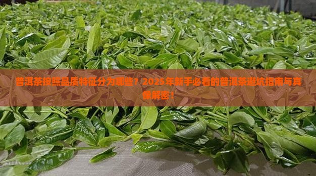 普洱茶按照品质特征分为