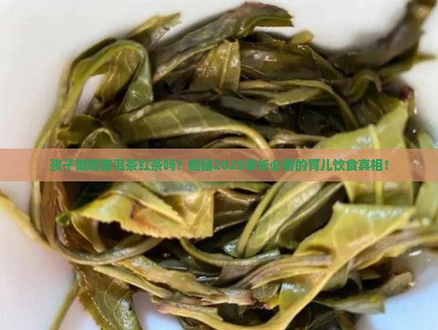 孩子能喝普洱茶红茶吗
