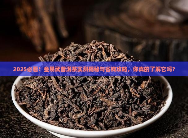 金易武普洱茶怎么样