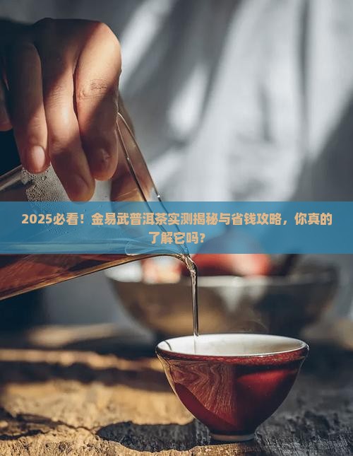 金易武普洱茶怎么样