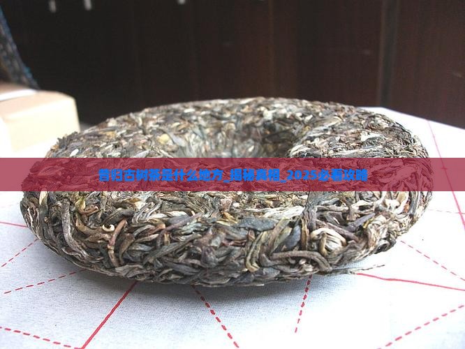 昔归古树茶是什么地方