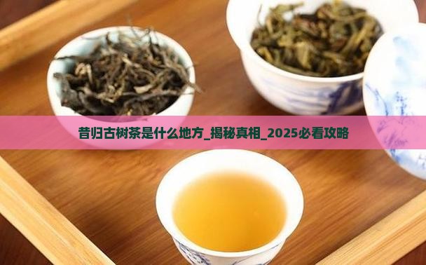 昔归古树茶是什么地方