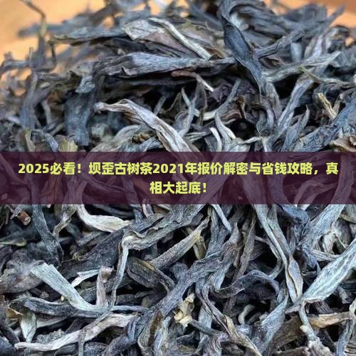 坝歪古树茶2021年报价