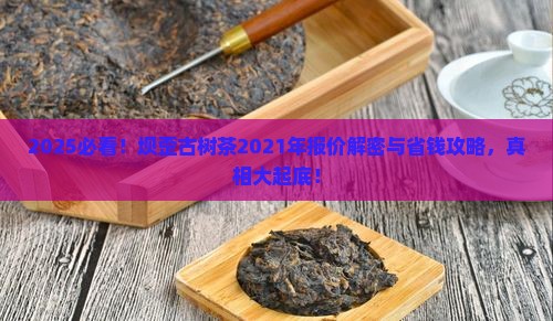 坝歪古树茶2021年报价