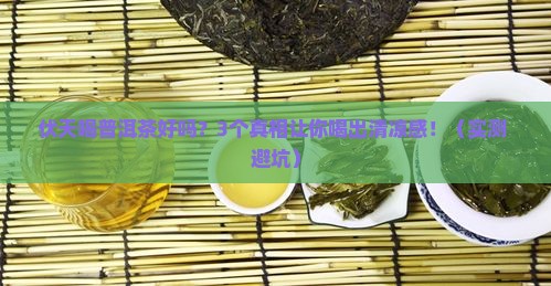 伏天喝普洱茶好吗