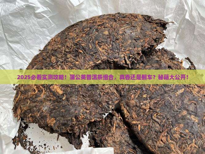 蒲公英和普洱茶一起泡