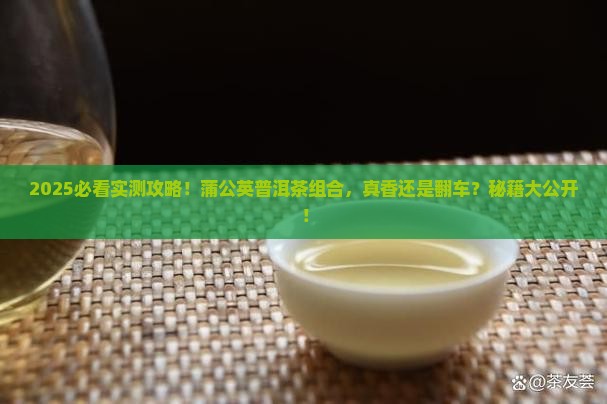 蒲公英和普洱茶一起泡