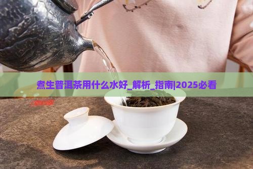 煮生普洱茶用什么水好