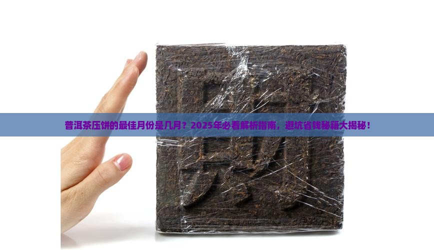 普洱茶一般几月份压饼