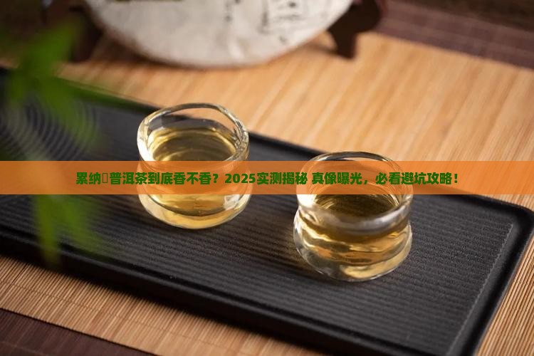 累纳榅的普洱茶好不好