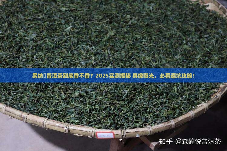 累纳榅的普洱茶好不好