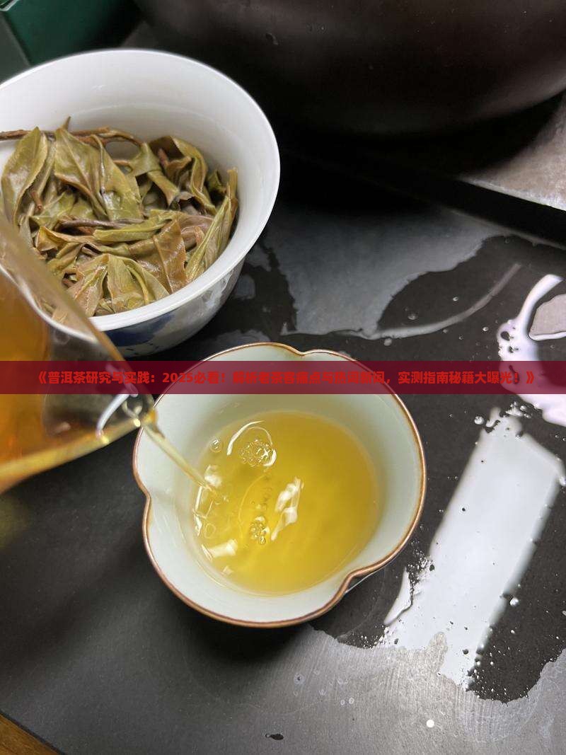 普洱茶研究与实践