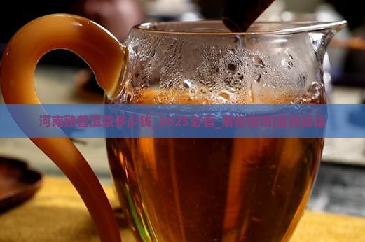河南熟普洱茶多少钱