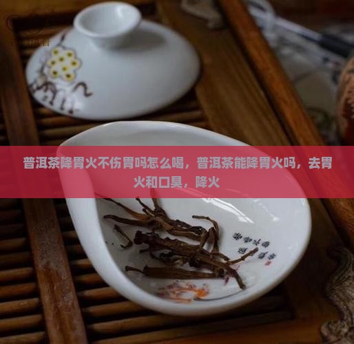 普洱茶降胃火不伤胃吗怎么喝