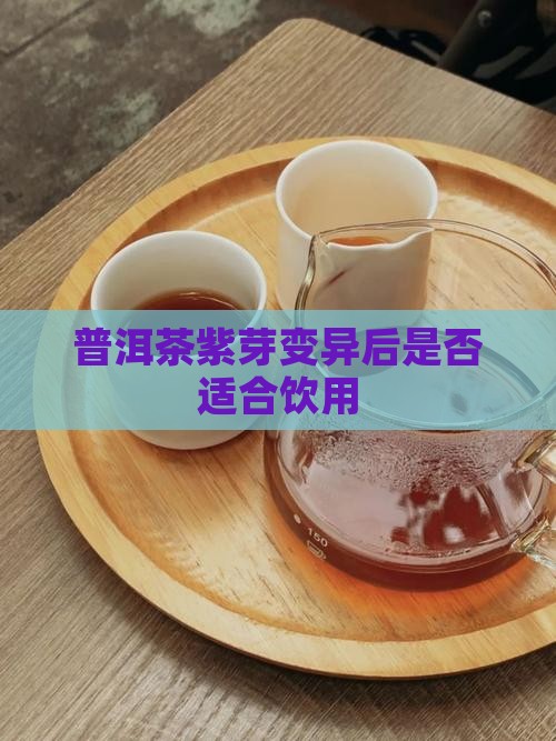 普洱茶变异紫芽能喝吗