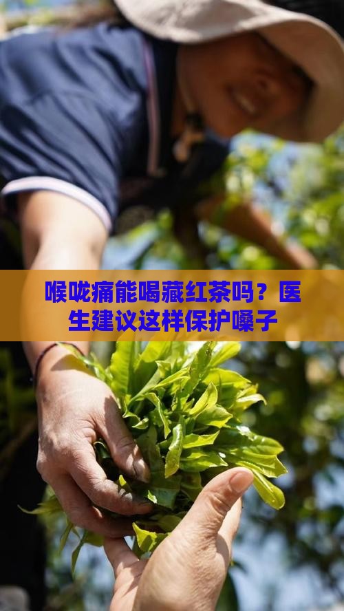 喉咙痛能喝藏红茶吗