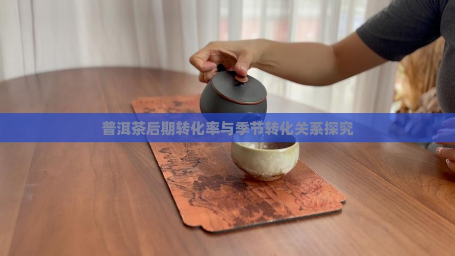 普洱茶不同季节转化率
