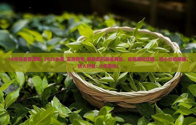 16年乌金普洱茶
