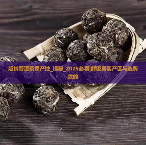 版纳普洱茶原产地