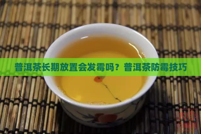 普洱茶长期放置不怕发霉吗