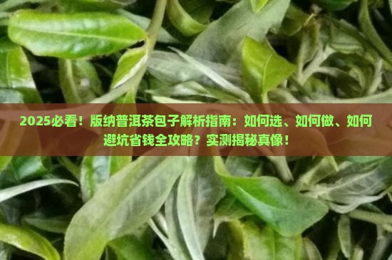 版纳普洱茶包子