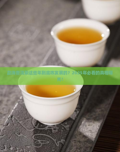 勐海县普洱茶历年发展情况 勐海县普洱茶历年发展情况