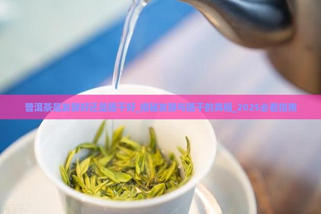 普洱茶是发酵好还是晒干好