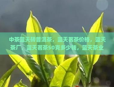 中茶蓝天砖普洱茶