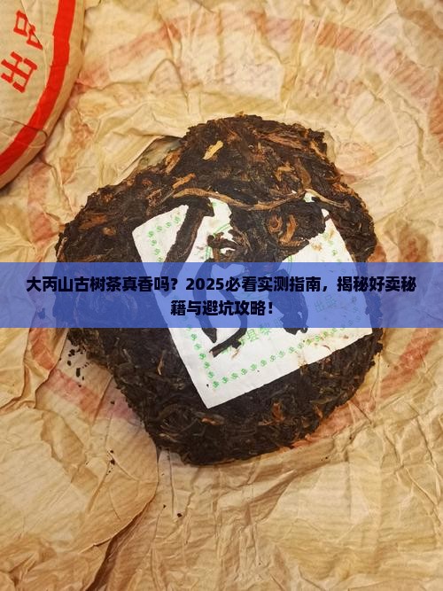大丙山古树茶好不好卖