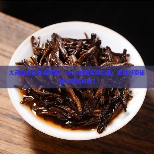 大丙山古树茶好不好卖