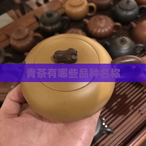 青茶有哪些品种名称