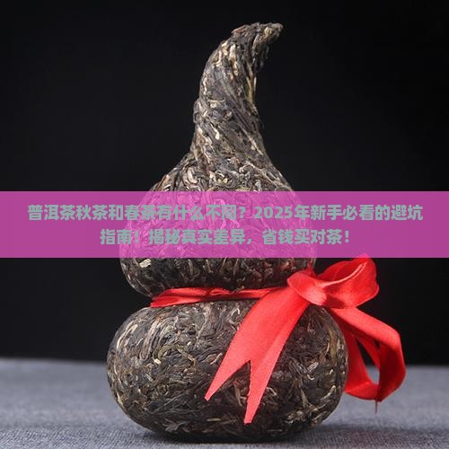 普洱茶秋茶和春茶有什么不同