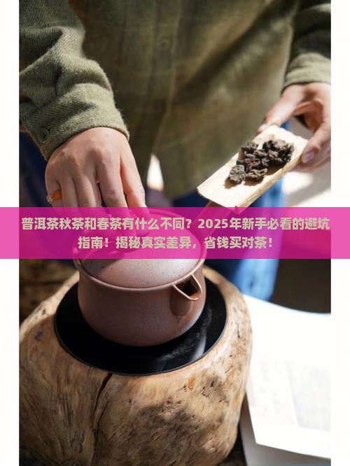 普洱茶秋茶和春茶有什么不同