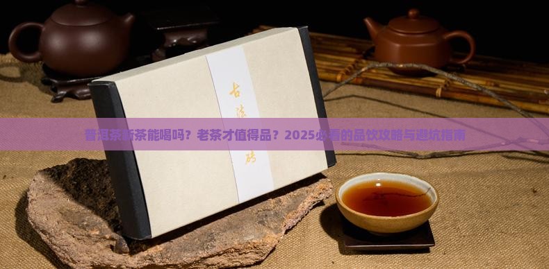 普洱茶新茶适合品饮吗还是老饮